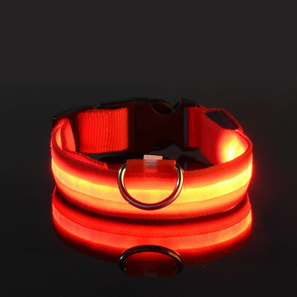 Nylon LED-Hundeleine mit Sicherheitslicht — Leuchtende Blinkleine & Halsband für Nachtspaziergänge