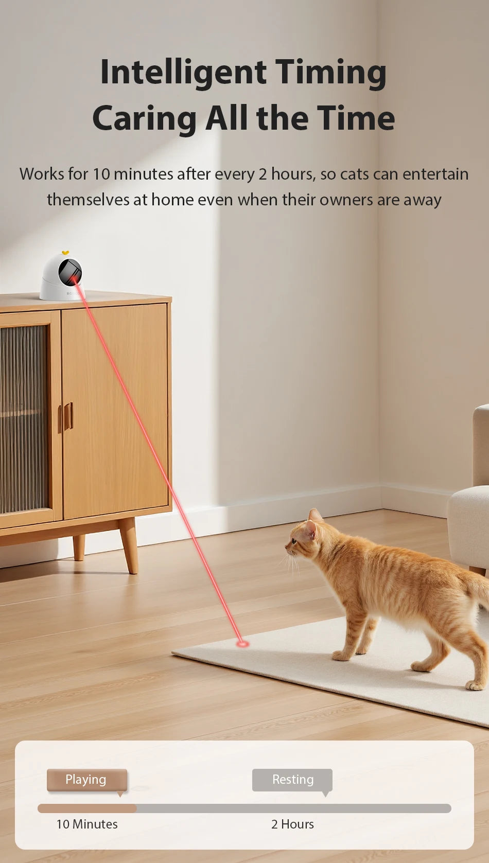 Automatisches Laser-Spielzeug für Katzen & Hunde – interaktiv & elektrisch