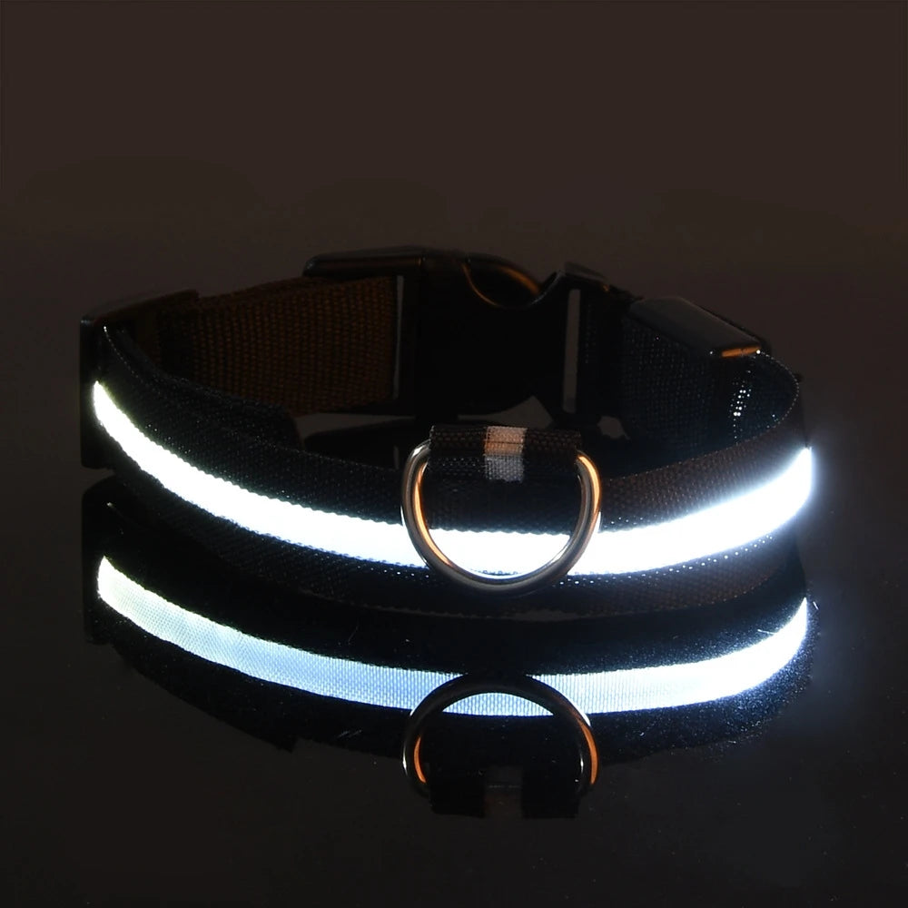 Nylon LED-Hundeleine mit Sicherheitslicht — Leuchtende Blinkleine & Halsband für Nachtspaziergänge