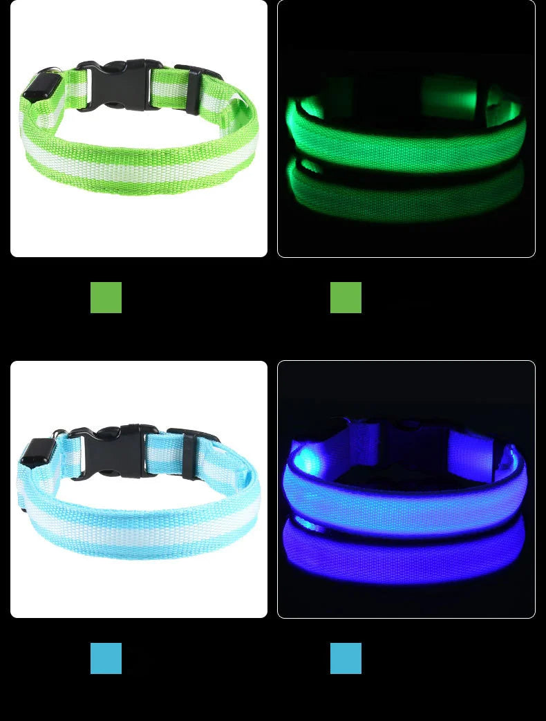 Nylon LED-Hundeleine mit Sicherheitslicht — Leuchtende Blinkleine & Halsband für Nachtspaziergänge