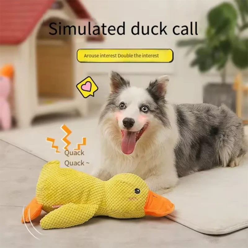 Kuscheliger Enten-Freund – Das interaktive Plüschspielzeug für deinen Hund