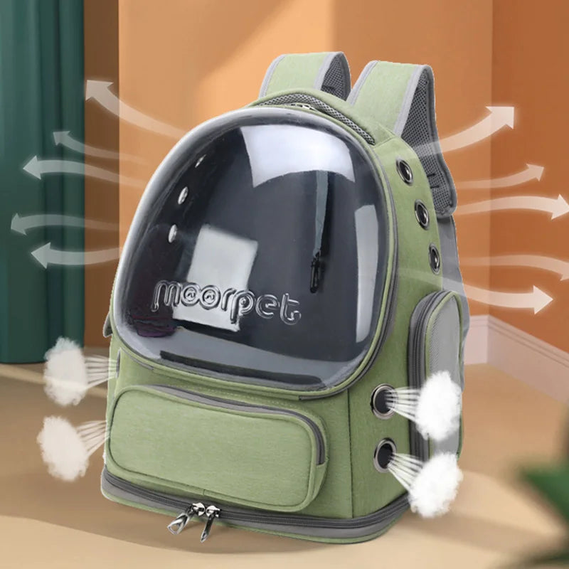 Transparenter Rucksack für Katzen & kleine Hunde – Atmungsaktive Tragetasche für Reisen & Ausflüge im Freien