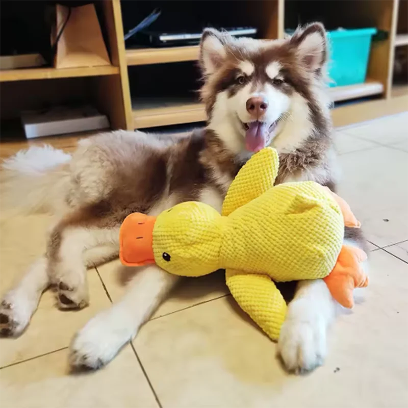 Kuscheliger Enten-Freund – Das interaktive Plüschspielzeug für deinen Hund