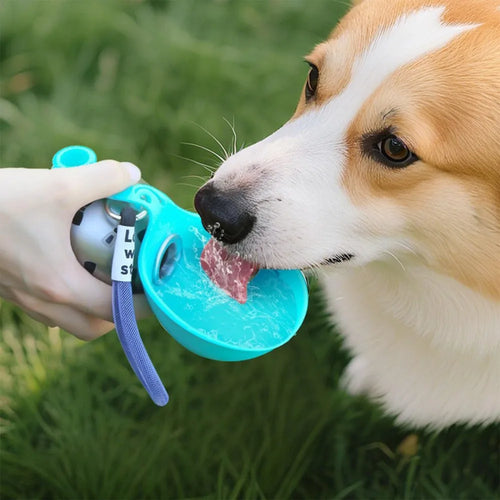 285ml Hunde-Trinkflasche aus Edelstahl mit abnehmbarem Silikonnapf — Auslaufsicher für Spaziergänge & Outdoor-Aktivitäten