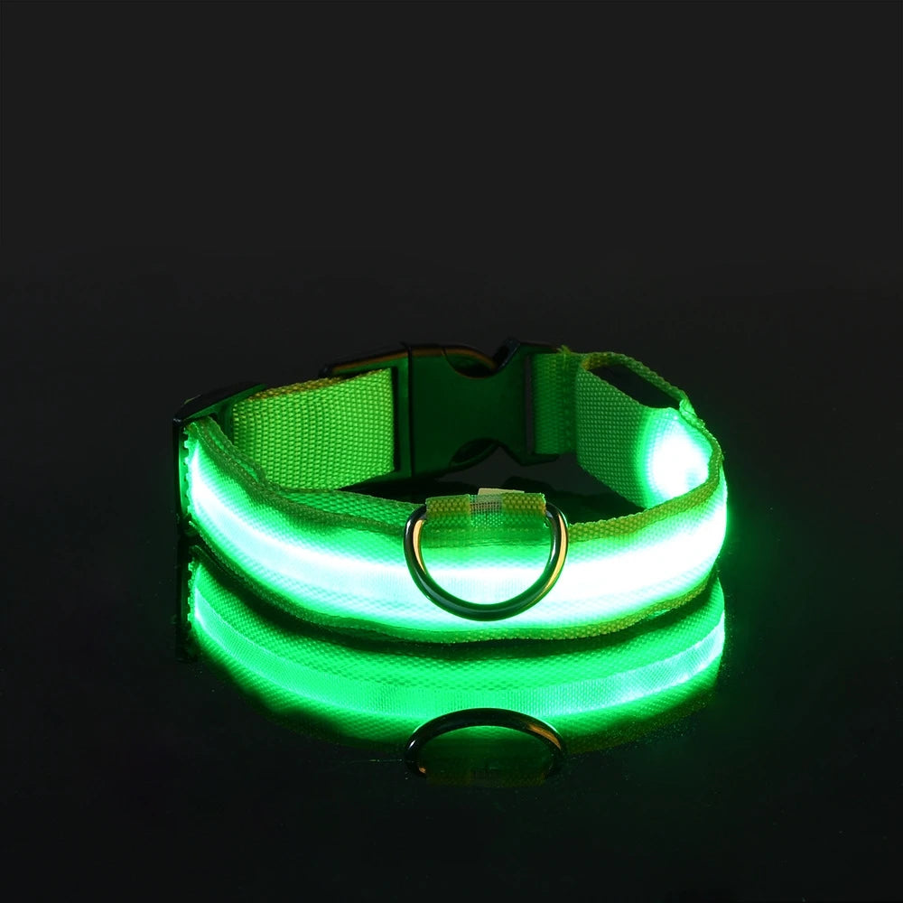 Nylon LED-Hundeleine mit Sicherheitslicht — Leuchtende Blinkleine & Halsband für Nachtspaziergänge