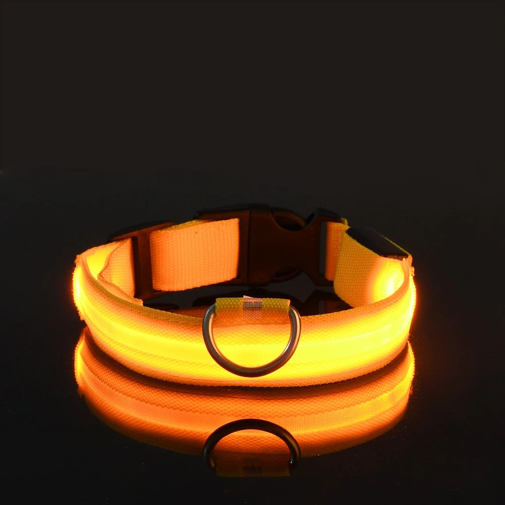 Nylon LED-Hundeleine mit Sicherheitslicht — Leuchtende Blinkleine & Halsband für Nachtspaziergänge