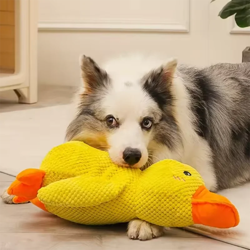 Kuscheliger Enten-Freund – Das interaktive Plüschspielzeug für deinen Hund