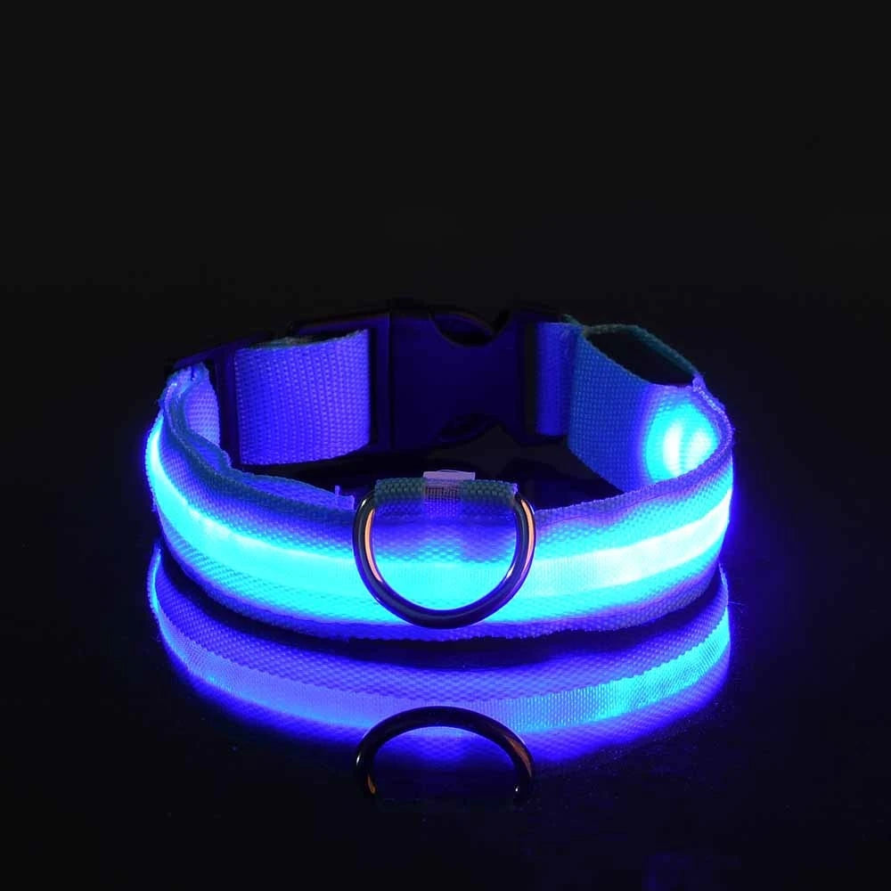Nylon LED-Hundeleine mit Sicherheitslicht — Leuchtende Blinkleine & Halsband für Nachtspaziergänge