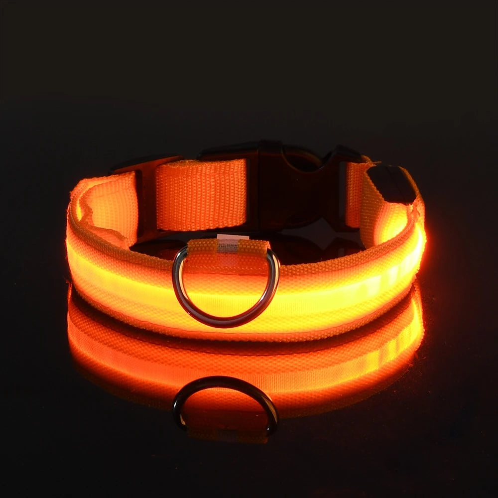 Nylon LED-Hundeleine mit Sicherheitslicht — Leuchtende Blinkleine & Halsband für Nachtspaziergänge