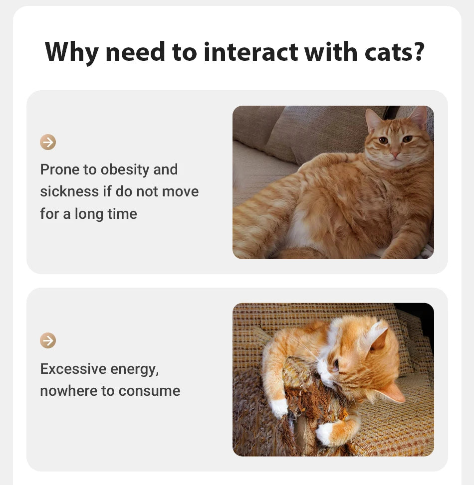 Automatisches Laser-Spielzeug für Katzen & Hunde – interaktiv & elektrisch