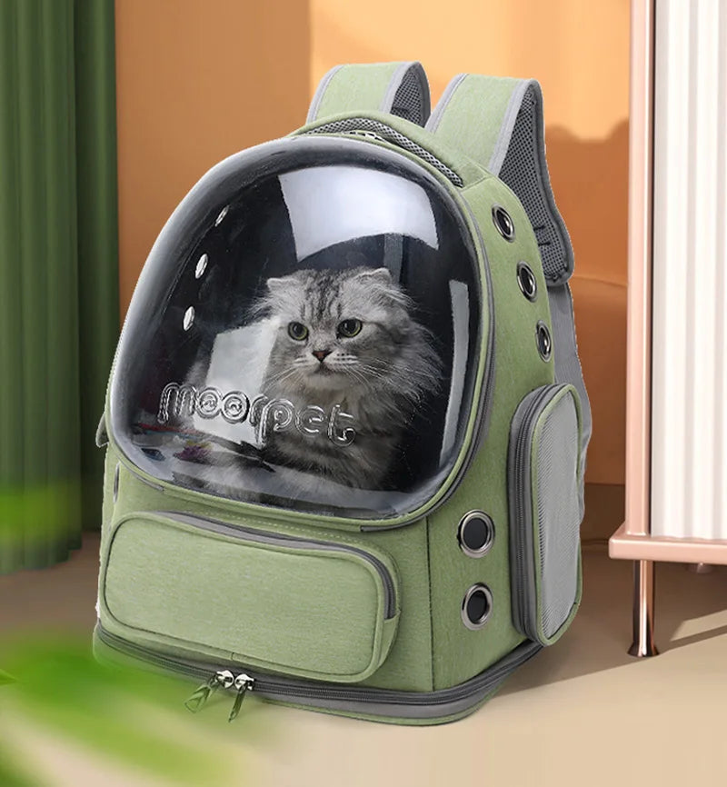 Transparenter Rucksack für Katzen & kleine Hunde – Atmungsaktive Tragetasche für Reisen & Ausflüge im Freien