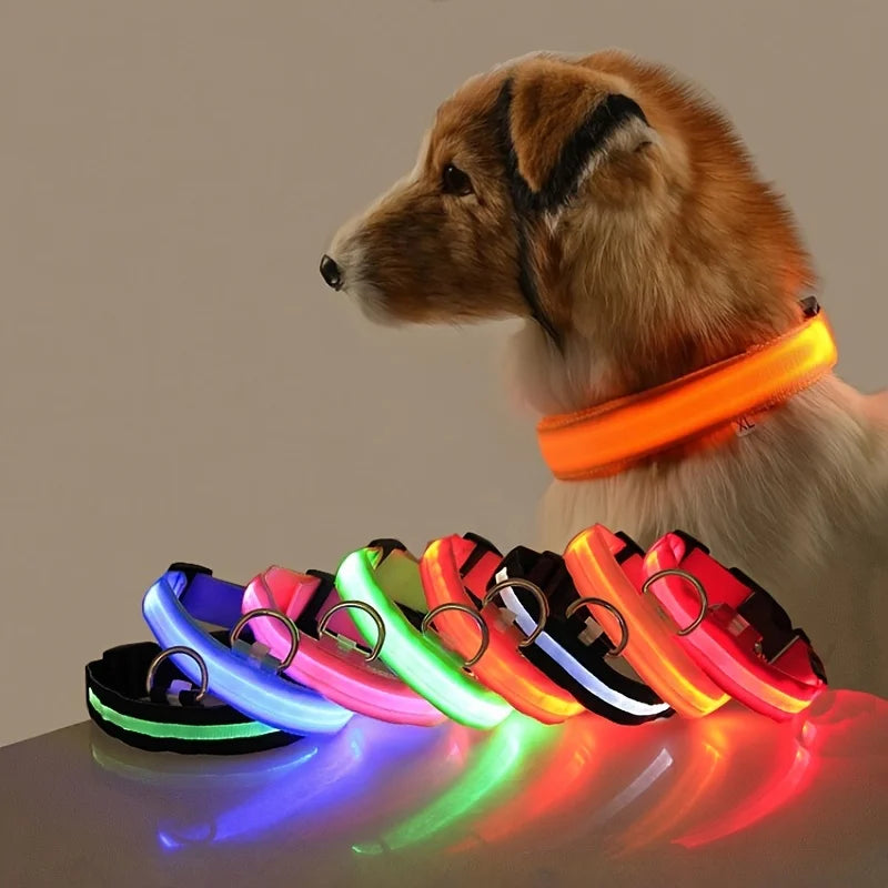 Nylon LED-Hundeleine mit Sicherheitslicht — Leuchtende Blinkleine & Halsband für Nachtspaziergänge