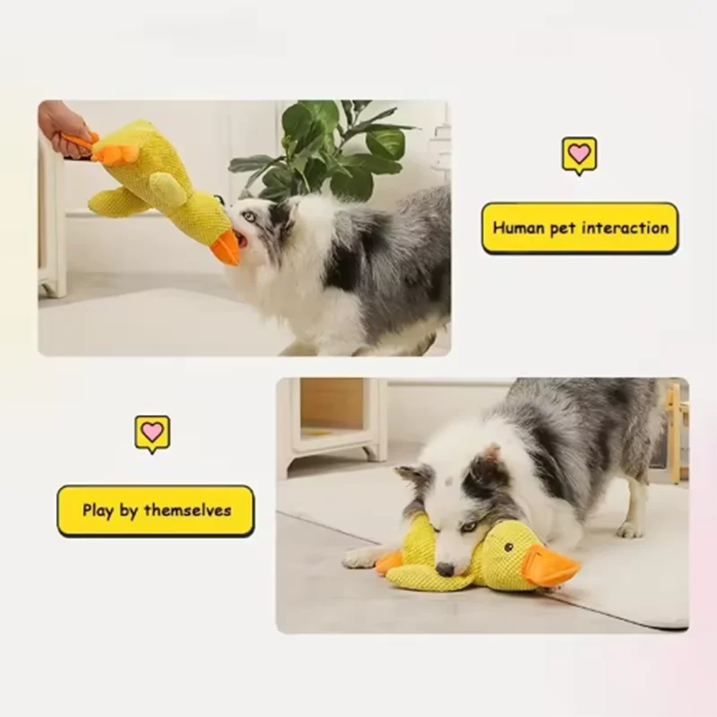 Kuscheliger Enten-Freund – Das interaktive Plüschspielzeug für deinen Hund