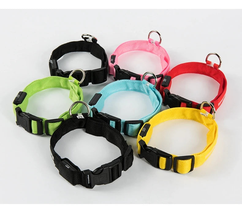 Nylon LED-Hundeleine mit Sicherheitslicht — Leuchtende Blinkleine & Halsband für Nachtspaziergänge