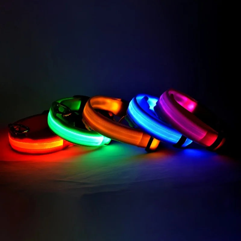 Nylon LED-Hundeleine mit Sicherheitslicht — Leuchtende Blinkleine & Halsband für Nachtspaziergänge