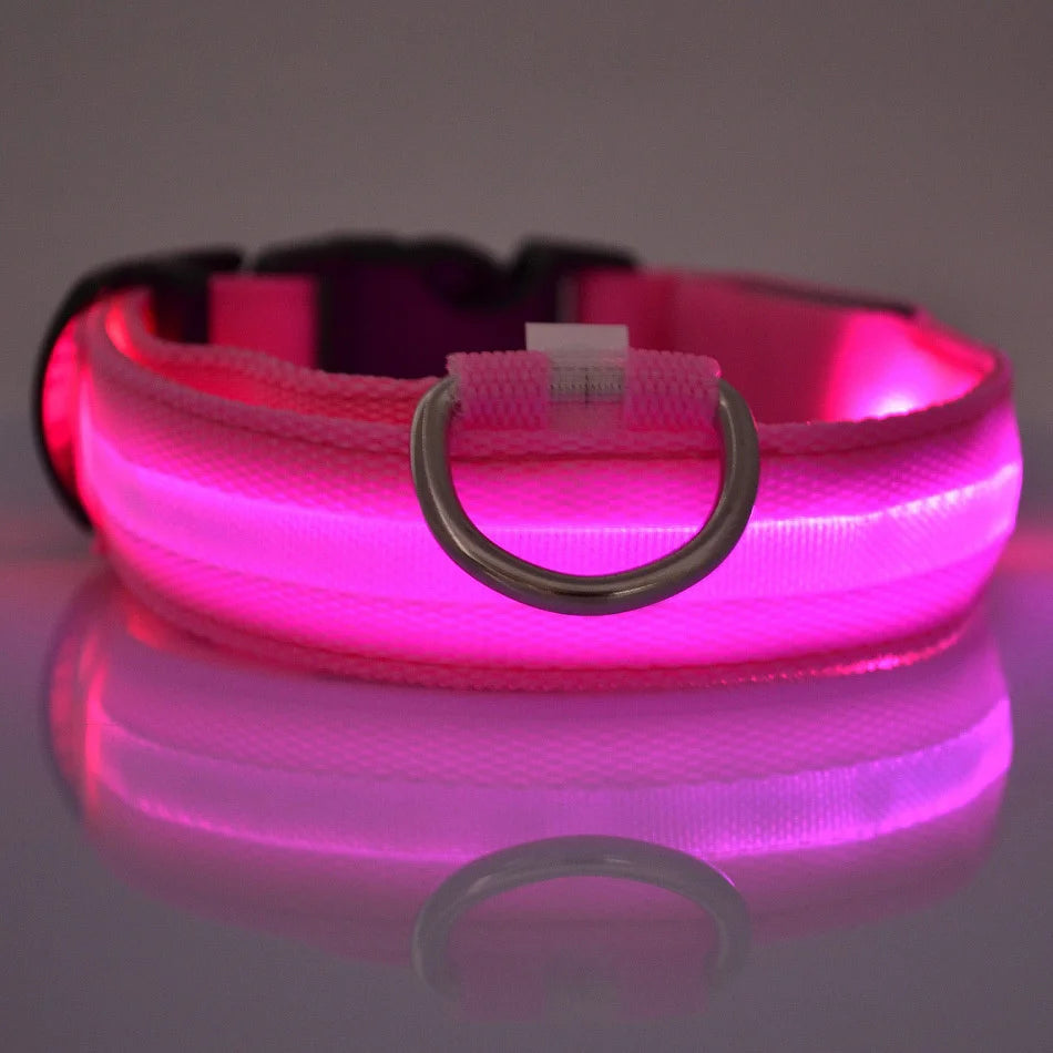 Nylon LED-Hundeleine mit Sicherheitslicht — Leuchtende Blinkleine & Halsband für Nachtspaziergänge