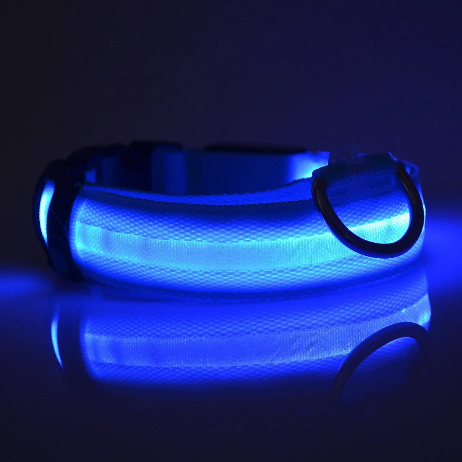 Nylon LED-Hundeleine mit Sicherheitslicht — Leuchtende Blinkleine & Halsband für Nachtspaziergänge