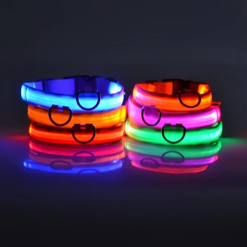 Nylon LED-Hundeleine mit Sicherheitslicht — Leuchtende Blinkleine & Halsband für Nachtspaziergänge