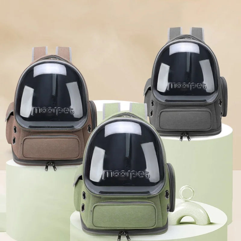 Transparenter Rucksack für Katzen & kleine Hunde – Atmungsaktive Tragetasche für Reisen & Ausflüge im Freien
