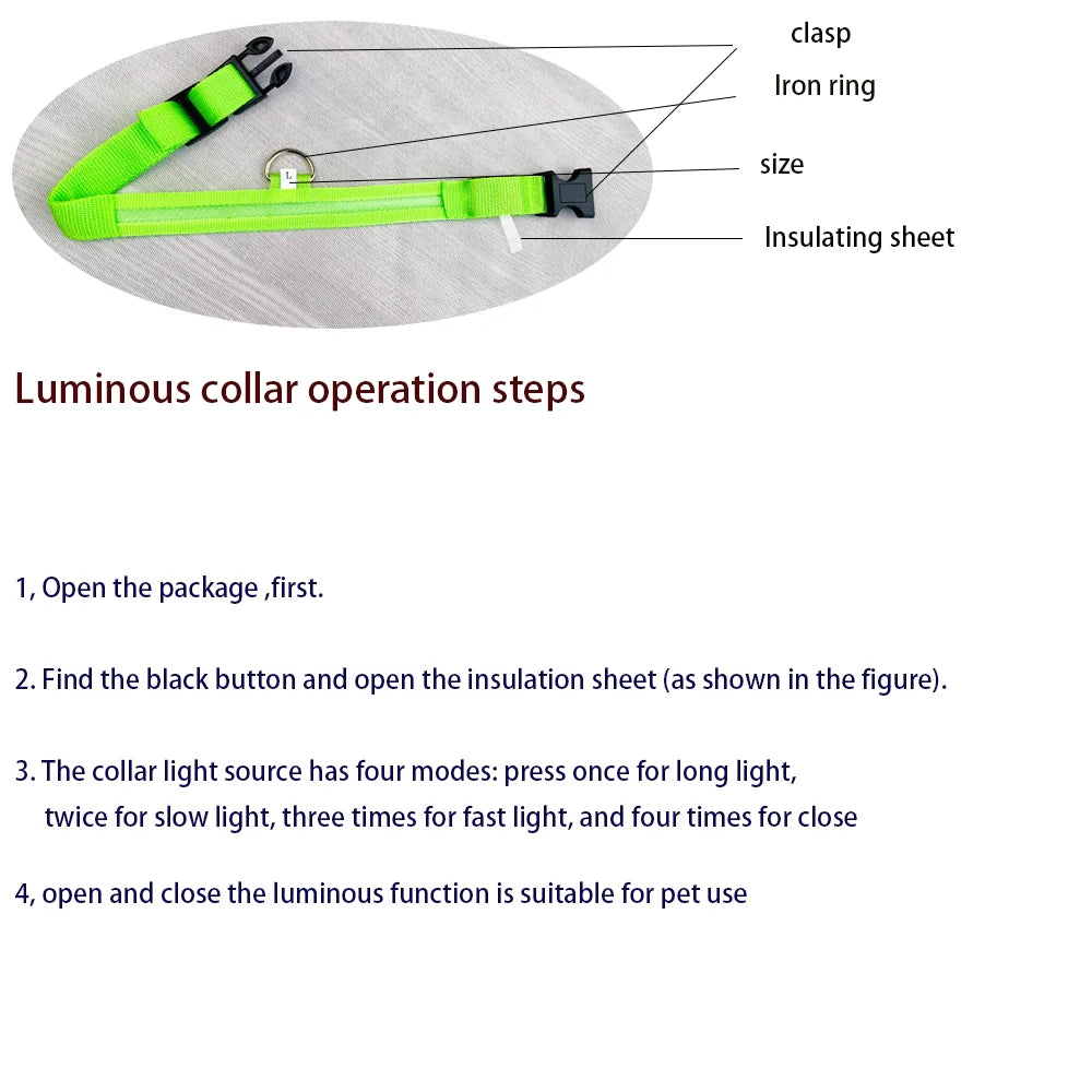 Nylon LED-Hundeleine mit Sicherheitslicht — Leuchtende Blinkleine & Halsband für Nachtspaziergänge