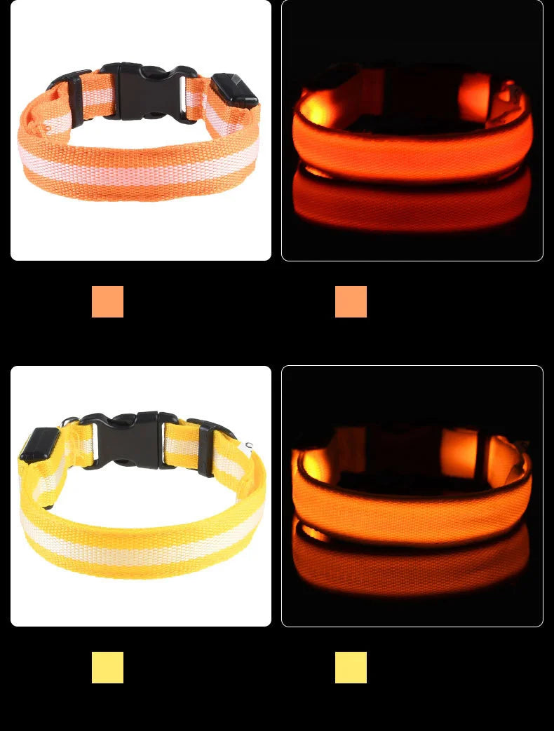 Nylon LED-Hundeleine mit Sicherheitslicht — Leuchtende Blinkleine & Halsband für Nachtspaziergänge