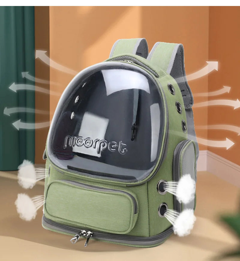 Transparenter Rucksack für Katzen & kleine Hunde – Atmungsaktive Tragetasche für Reisen & Ausflüge im Freien
