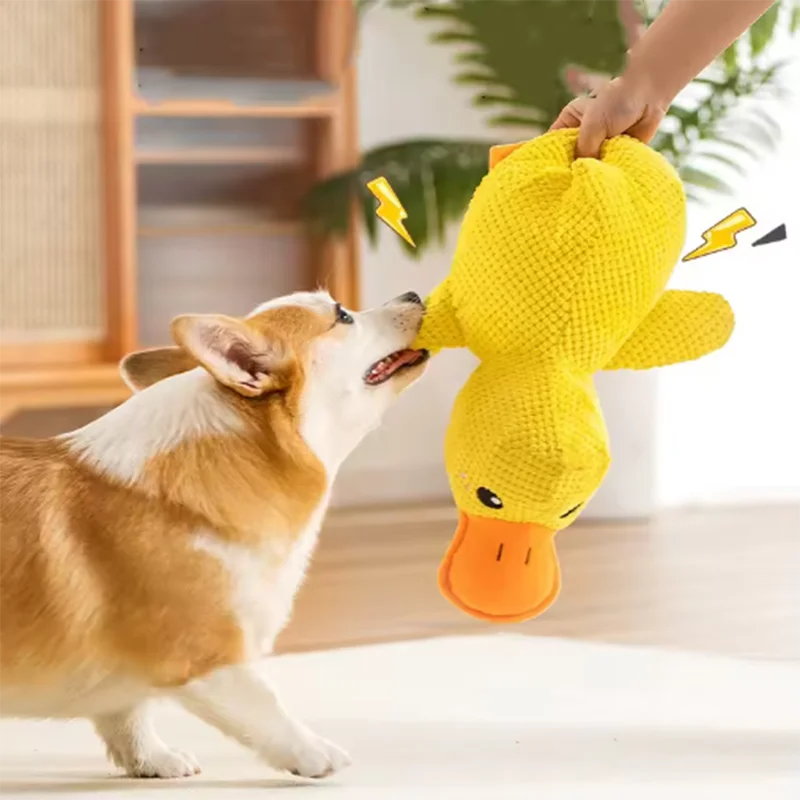 Kuscheliger Enten-Freund – Das interaktive Plüschspielzeug für deinen Hund