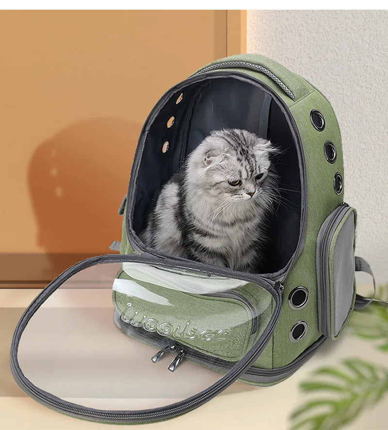 Transparenter Rucksack für Katzen & kleine Hunde – Atmungsaktive Tragetasche für Reisen & Ausflüge im Freien