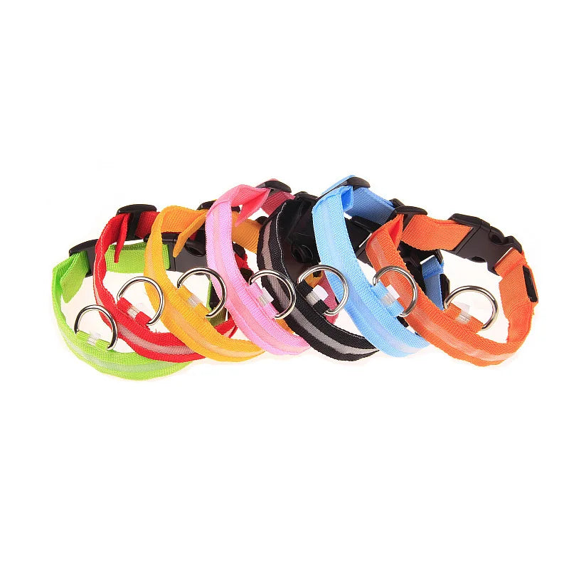 Nylon LED-Hundeleine mit Sicherheitslicht — Leuchtende Blinkleine & Halsband für Nachtspaziergänge