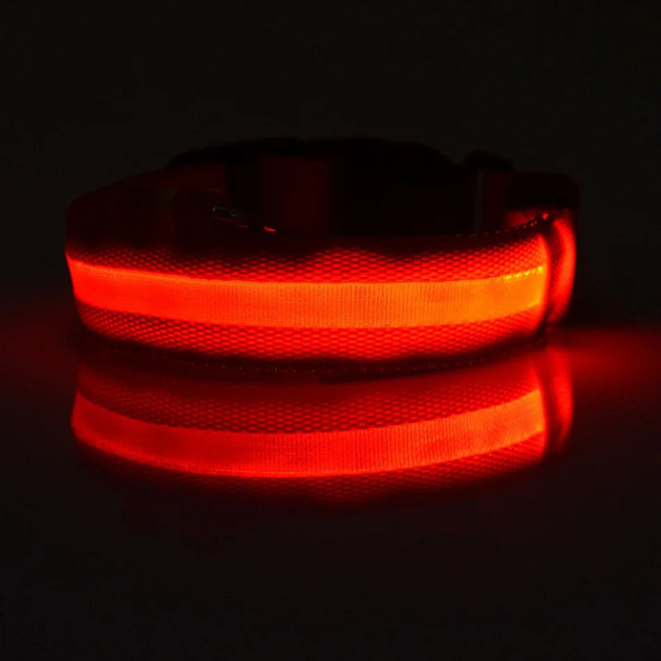 Nylon LED-Hundeleine mit Sicherheitslicht — Leuchtende Blinkleine & Halsband für Nachtspaziergänge