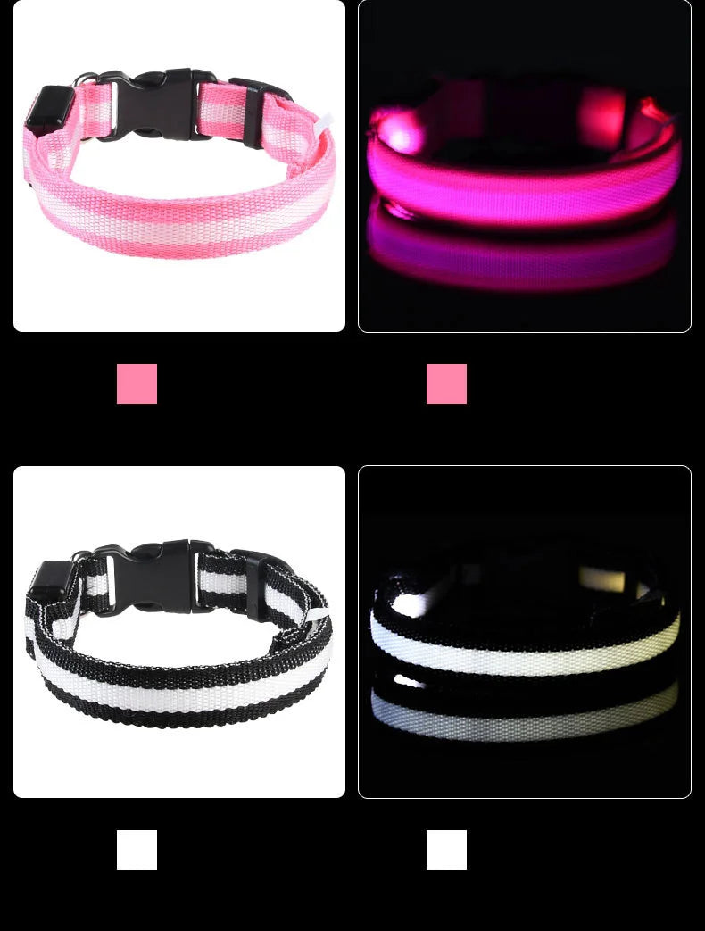 Nylon LED-Hundeleine mit Sicherheitslicht — Leuchtende Blinkleine & Halsband für Nachtspaziergänge