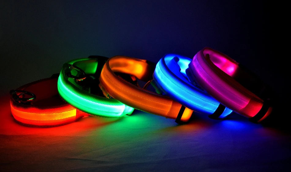 Nylon LED-Hundeleine mit Sicherheitslicht — Leuchtende Blinkleine & Halsband für Nachtspaziergänge
