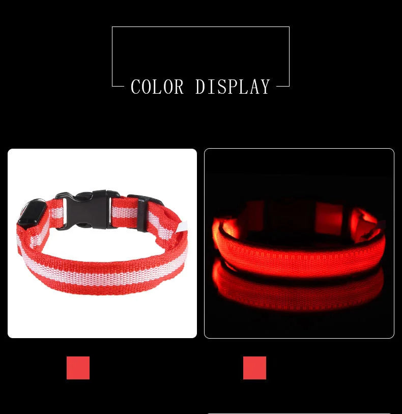 Nylon LED-Hundeleine mit Sicherheitslicht — Leuchtende Blinkleine & Halsband für Nachtspaziergänge